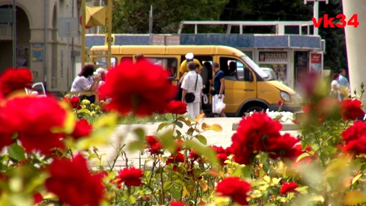 В Волжском пресекают деятельность нелегальных маршруток