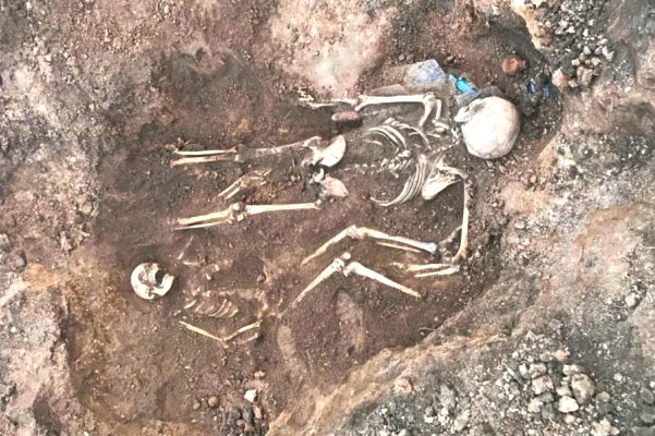 В Волгоградской области завершена очередная вахта памяти — найдены 50 защитников Сталинграда