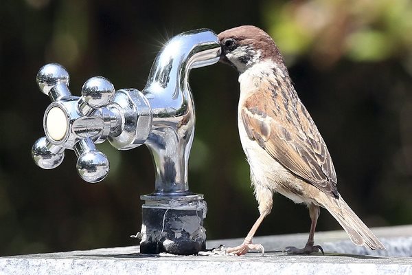 Минстрой — сокращение сроков отключения горячей воды в РФ с 14-ти дней до 3-х суток вполне реалистично