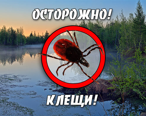 Осторожно, клещи!