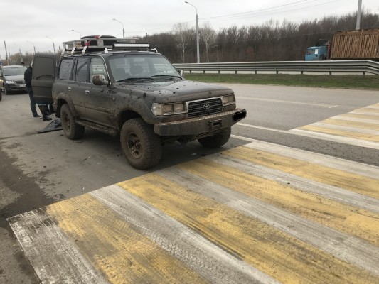 В Среднеахтубинском муниципальном районе возбуждено уголовное дело по факту незаконной добычи 2 косуль