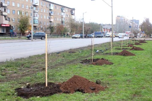 В 2017 году в городе Волжском продолжатся работы по расширению сети поливочного водопровода и реконструкции зелёных насаждений
