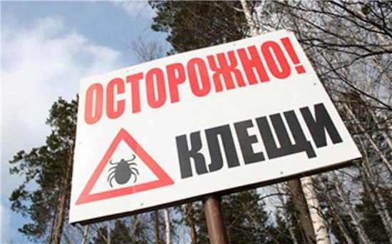 Профилактика Крымской геморрагической лихорадки